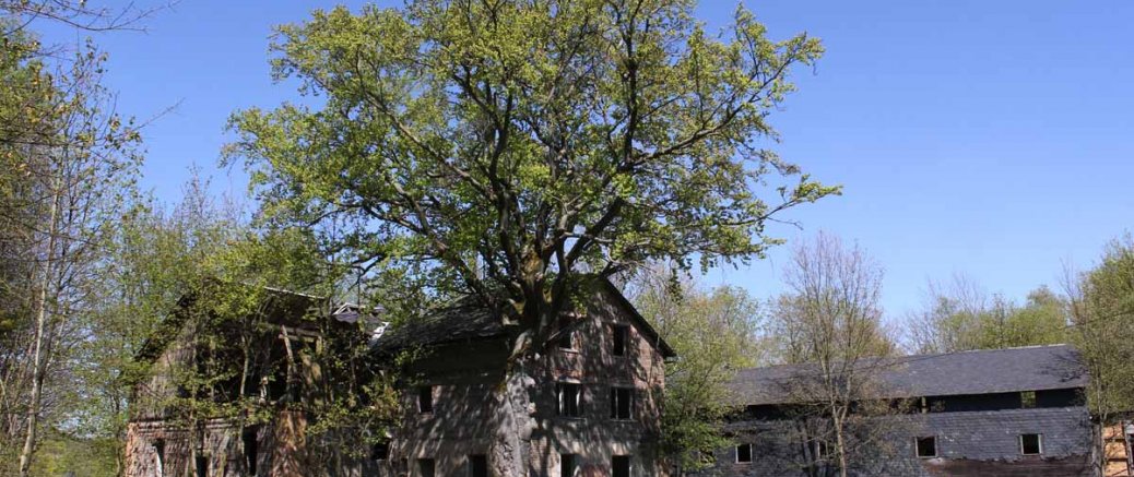 Oertelsbruch